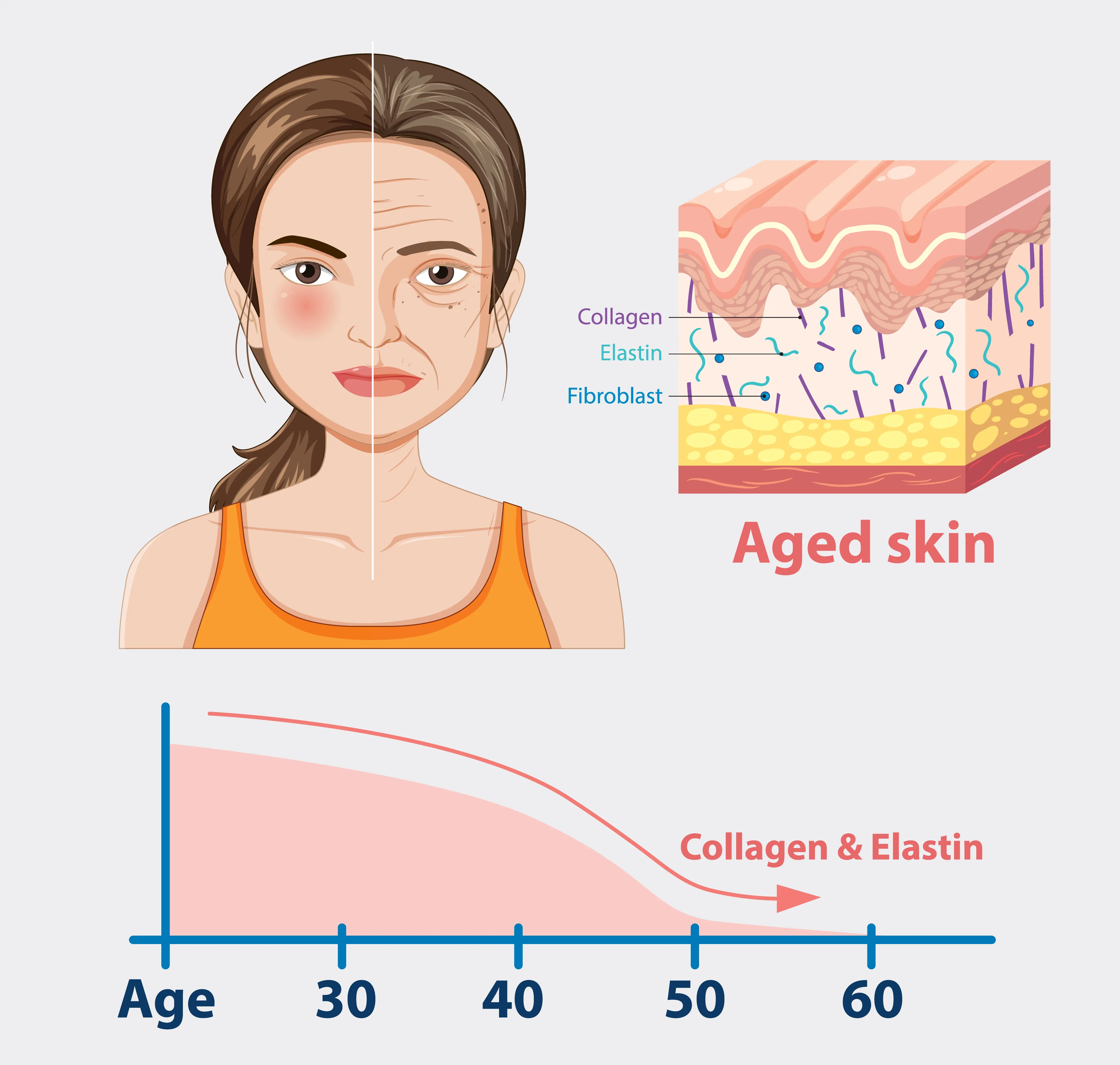 Does Collagen Correct The Signs Of Ageing?-Revive Wear Blog